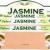 Jasmin322